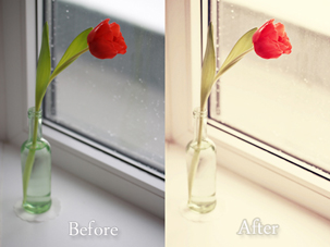 Photo Editing with Rad Lab rad lab stylets photo comparison