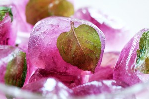 Coffee and Tea Ice Cubes coffee and tea ice cubes recipe with step by step pictures and list of ingredients, how to make tea ice cubes, how to make coffee icecubes, pictures, images