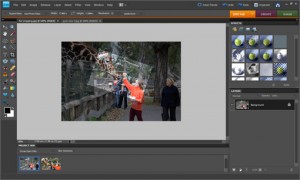 Crop Tool crop tool tutorial with picture, food photography, food stylings
