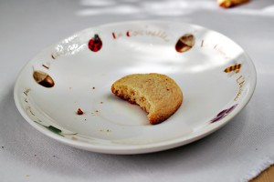 How to Remove Crumbs (...From Your Pictures) how to remove crumbs from image using Photoshop, photoshop picture tutorial, food photography, food styling, how to use heal to in Photoshop, heal tool tutorial, heal tool step by step tutorial